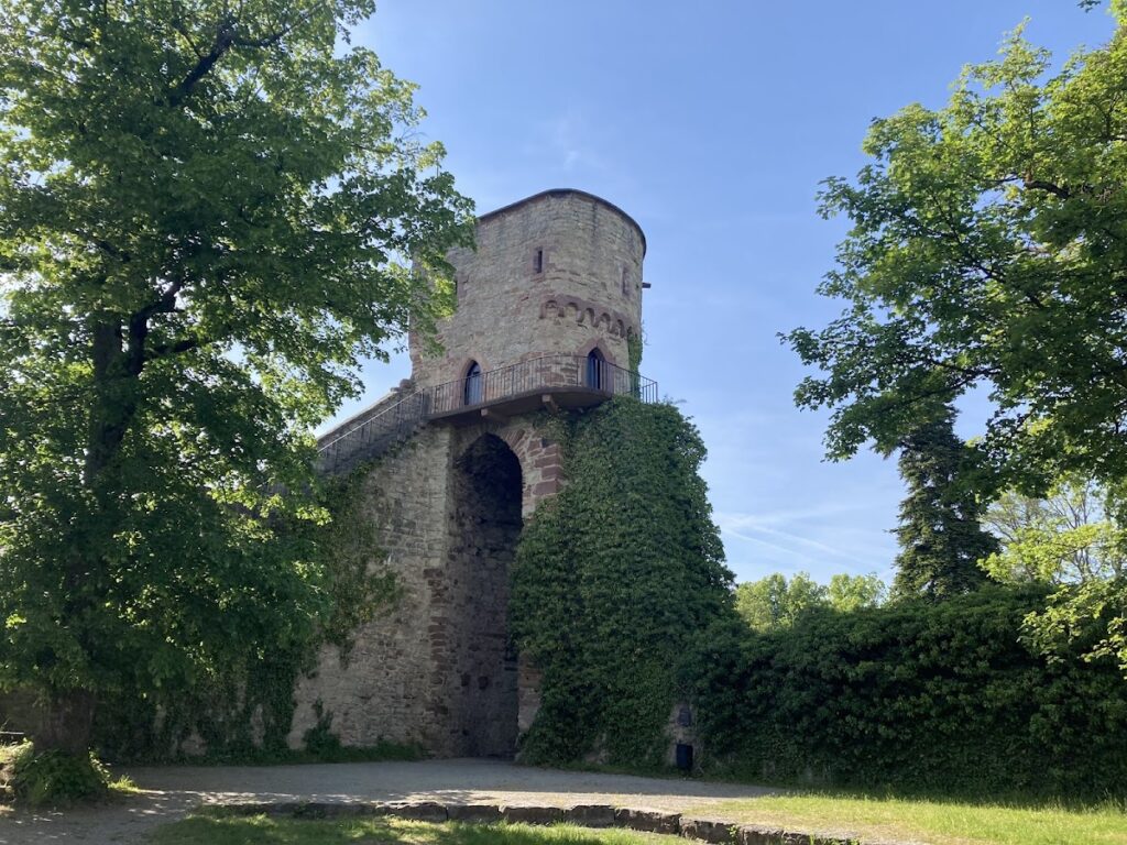 Hohennagold Castle