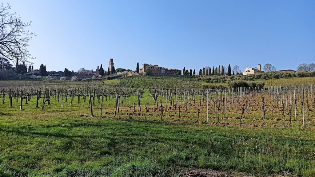 Castello San Salvatore: A Medieval and Renaissance Castle in Susegana, Italy 9 Castello San Salvatore