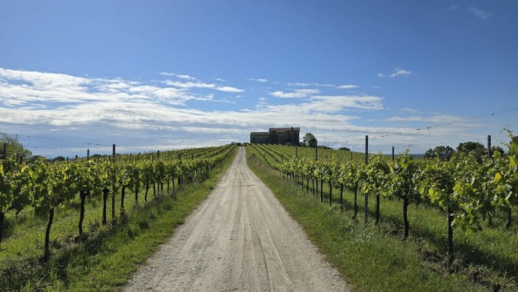 Castello San Salvatore: A Medieval and Renaissance Castle in Susegana, Italy 10 Castello San Salvatore