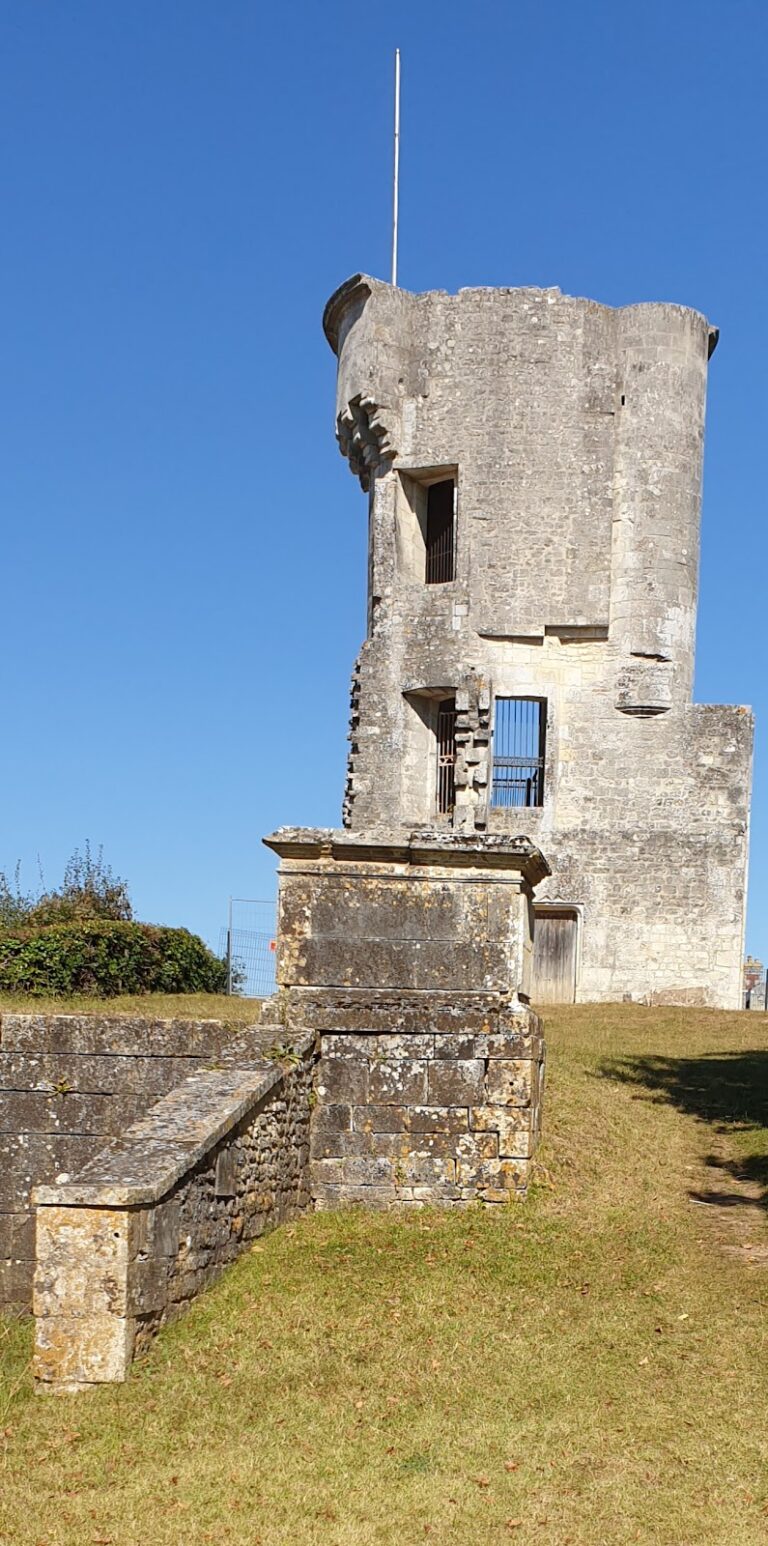 Castle of Taillebourg: A Medieval Fortress and Noble Residence in France