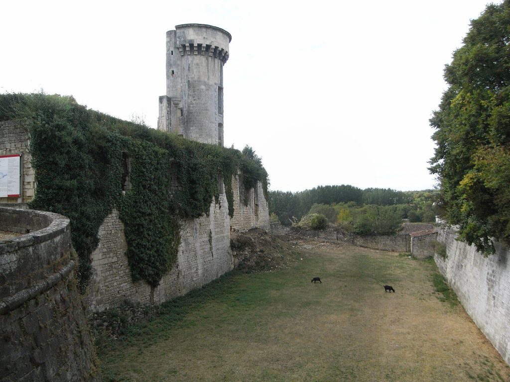 Castle of Taillebourg: A Medieval Stronghold in France 5 Castle of Taillebourg