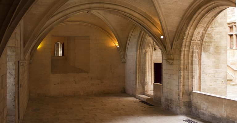 Castle of Tarascon: Medieval Fortress on the Rhône in France