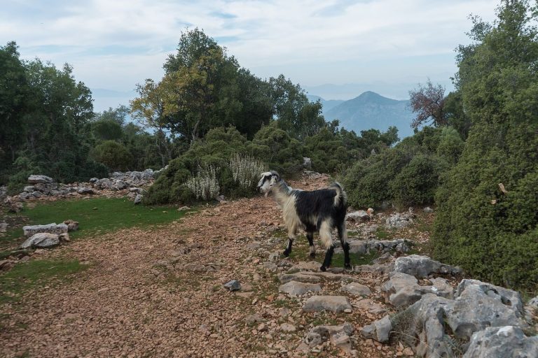 Lycian Way: A Historic Long-Distance Trail in Türkiye