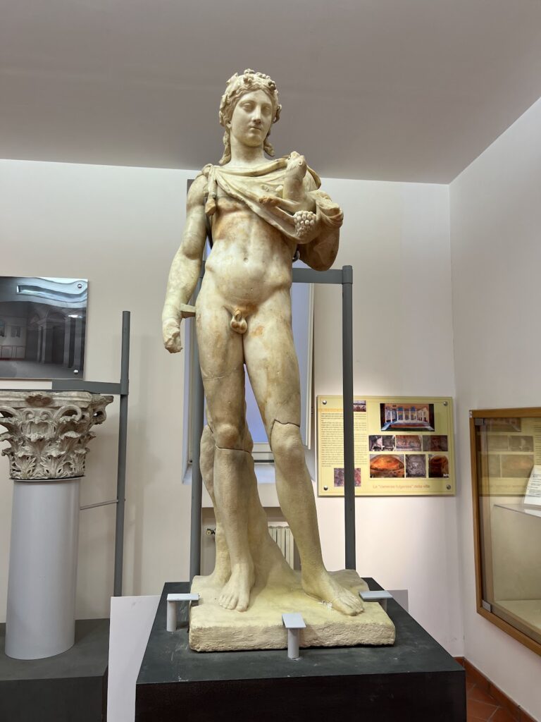 History and Archeology Museum of Nola