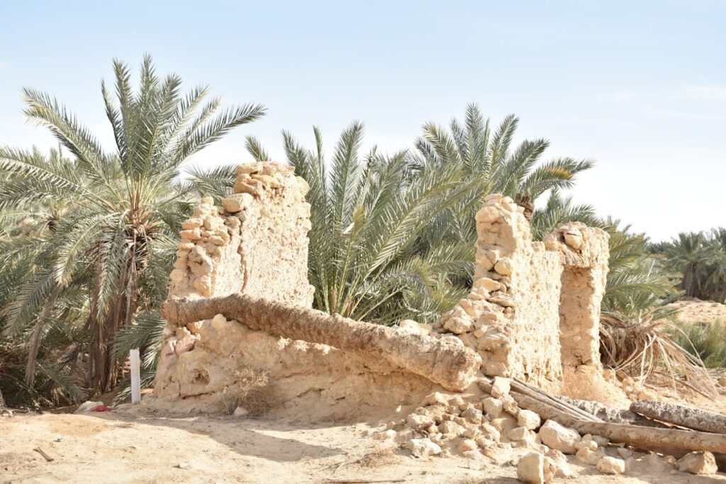 Siwa oracle