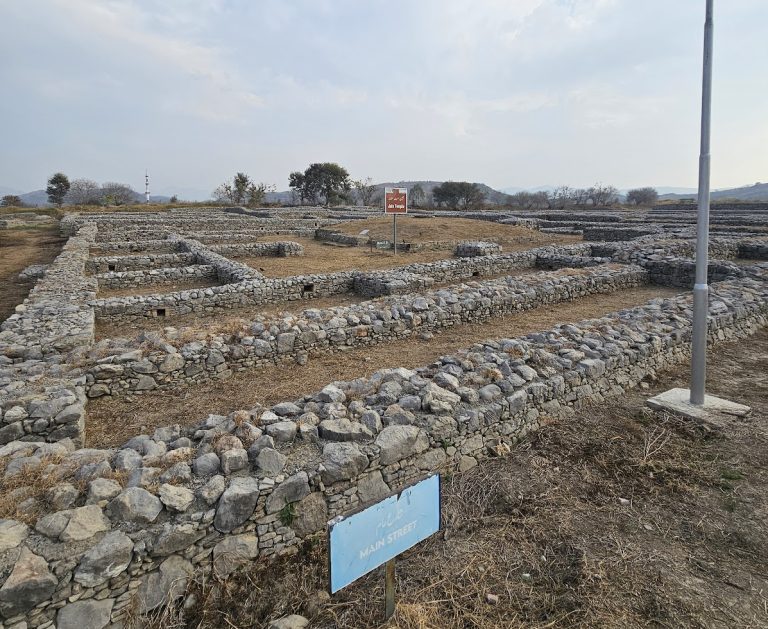 Sirkap: An Indo-Greek and Indo-Parthian Settlement in Pakistan
