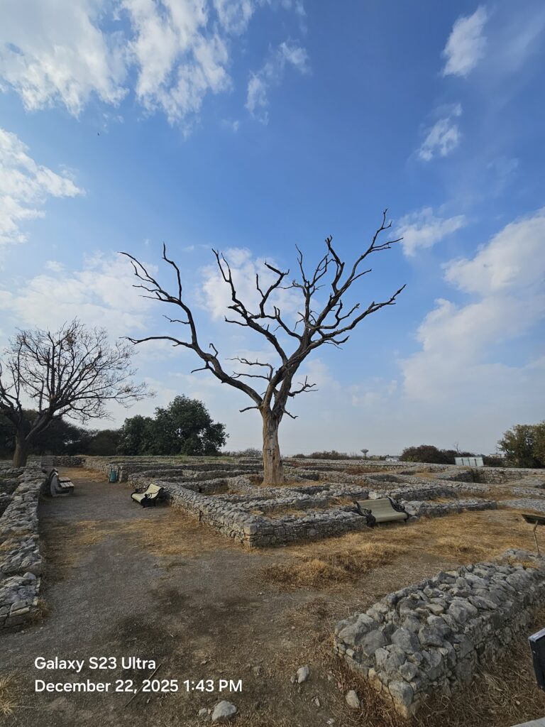 Sirkap: An Archaeological Site in Taxila, Pakistan 9 Sirkap