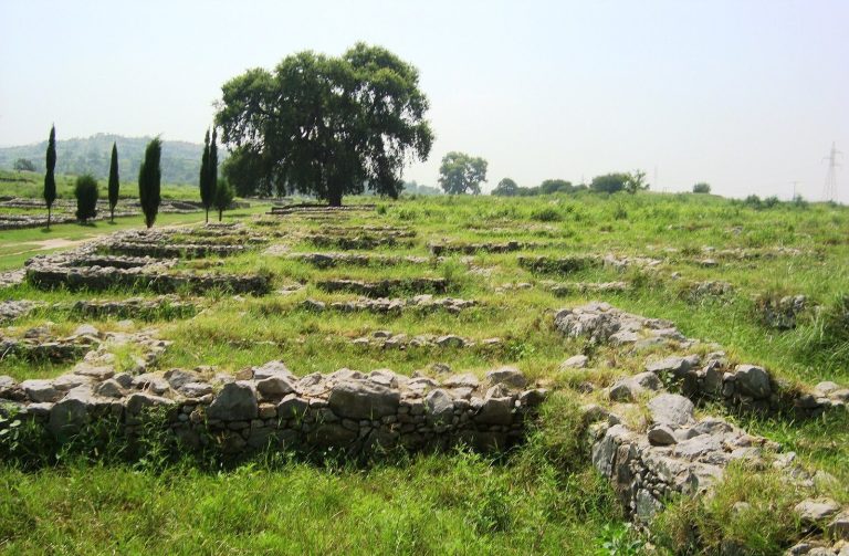 Sirkap: An Indo-Greek and Indo-Parthian Settlement in Pakistan