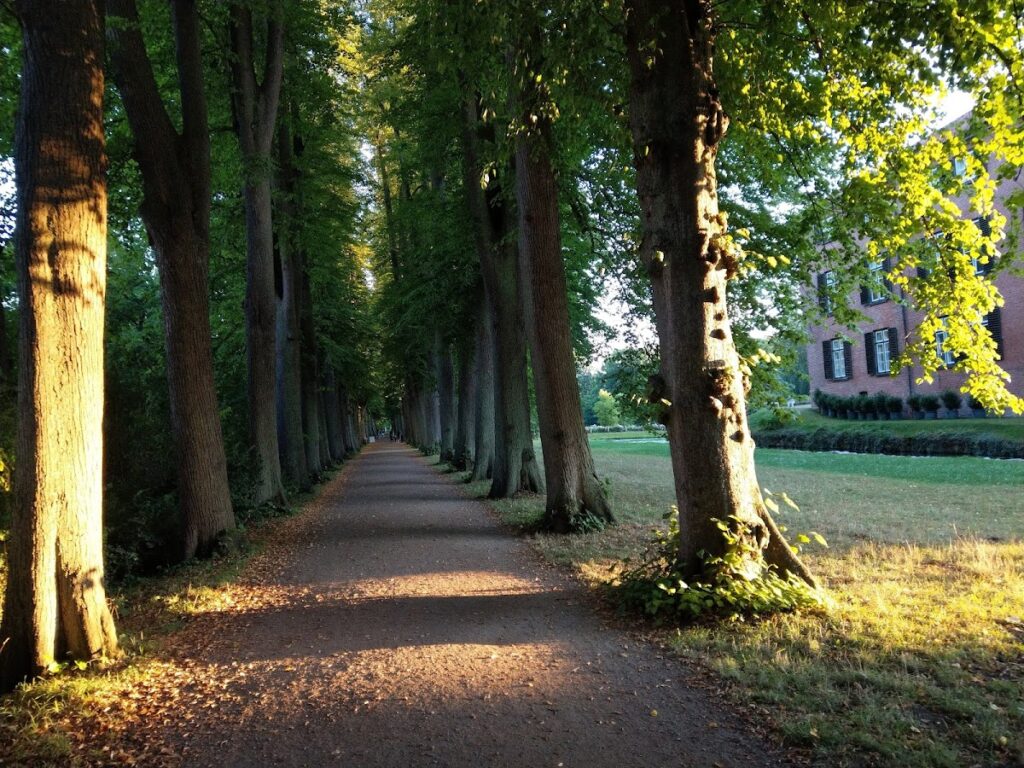 Eutin Castle: A Medieval Episcopal Residence and Ducal Court in Germany 5 Eutin Castle