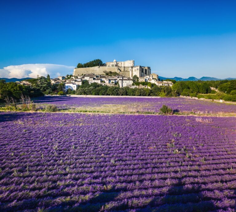 Château de Grignan: A Renaissance Castle and Fortress in France