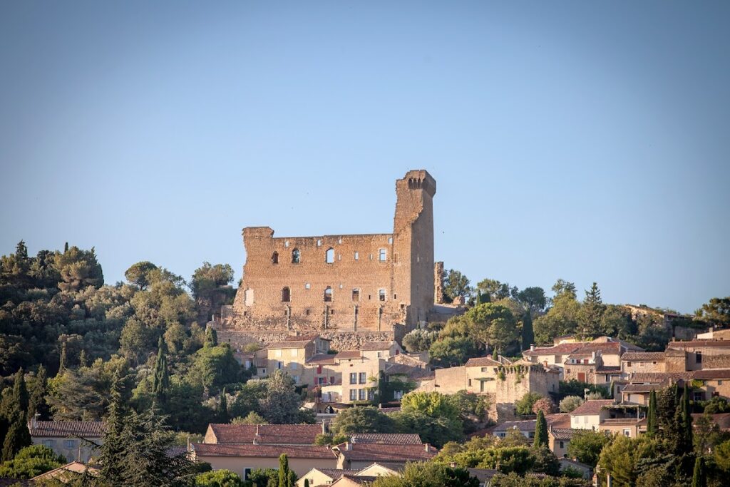 Castle of Châteauneuf-du-Pape: A Papal Fortress in France 1 Castle of Châteauneuf-du-Pape