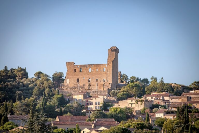 Castle of Châteauneuf-du-Pape: A Papal Fortress in France