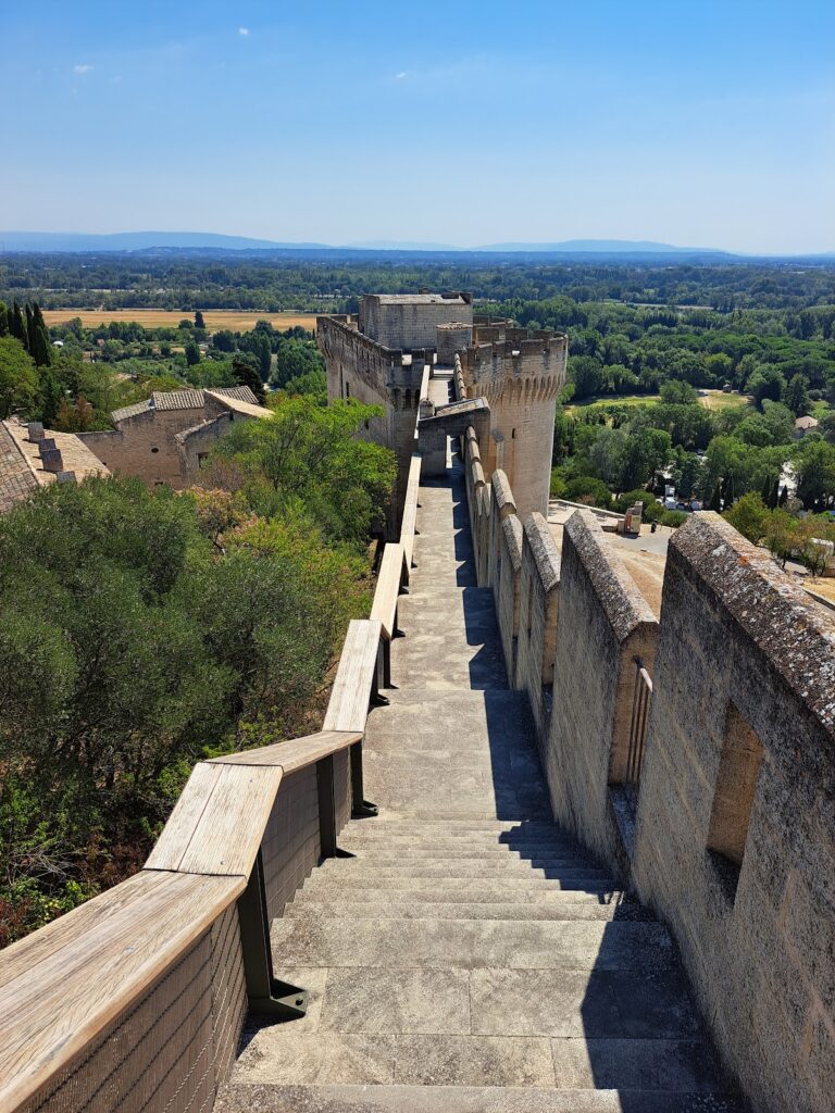 Castle of Châteauneuf-du-Pape: A Papal Fortress in France 4 Castle of Châteauneuf-du-Pape