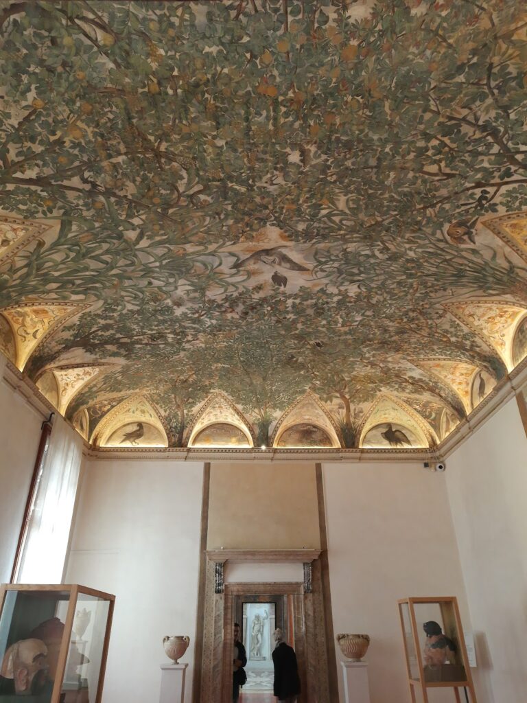 Palazzo Grimani di Santa Maria Formosa: A Renaissance Aristocratic Residence in Venice 3 Palazzo Grimani di Santa Maria Formosa