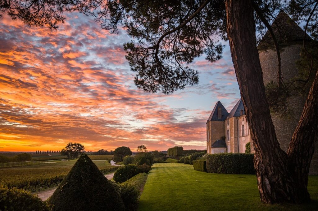 Château d’Yquem: A Historic Sauternes Wine Estate in France 1 Château d'Yquem