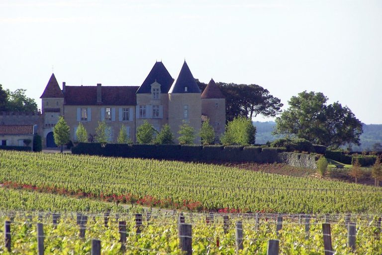 Château d’Yquem: A Historic Sauternes Wine Estate in France
