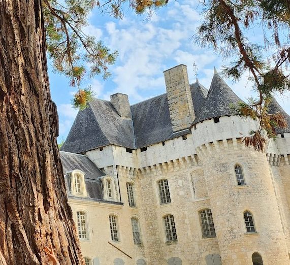 Château de Campagne: A Historic Château in Dordogne 3 Château de Campagne
