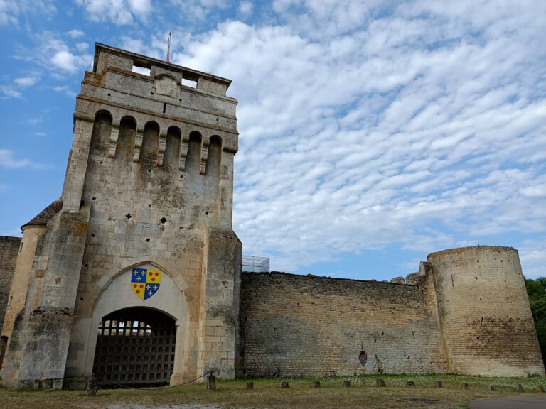 Druyes Castle: A Medieval Fortress and Princely Residence