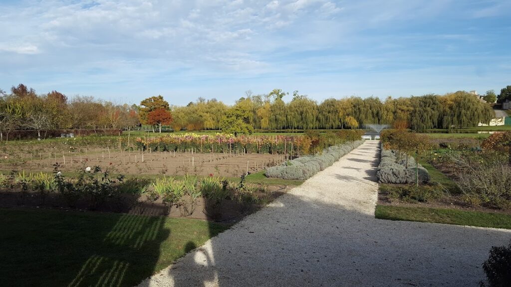 Château Lafite Rothschild: A Premier Grand Cru Classé Wine Estate in France 5 Château Lafite Rothschild