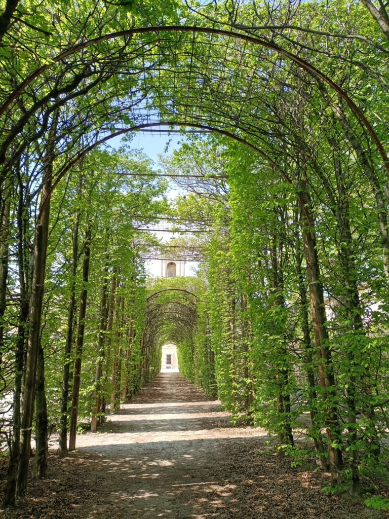 Ducal Palace of Colorno