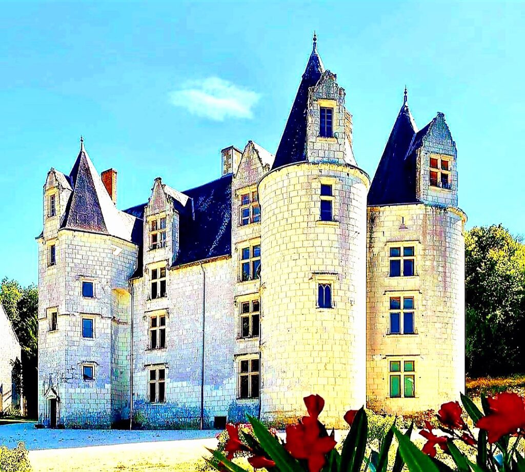 Château des Brétignolles: A Gothic Château in Anché, France 2 Château des Brétignolles