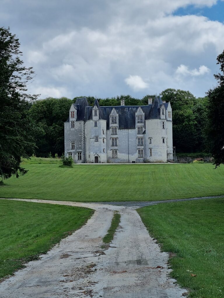 Château des Brétignolles: A Gothic Château in Anché, France 4 Château des Brétignolles