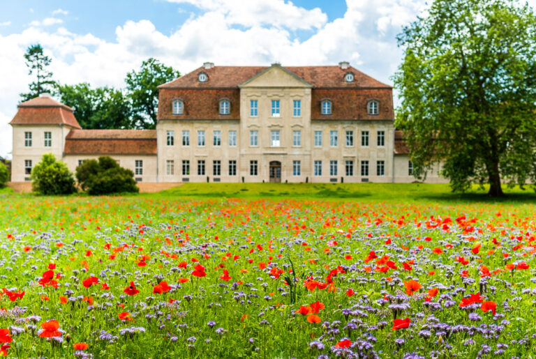 Schloss Kummerow: A Baroque Manor House and Photographic Gallery in Germany