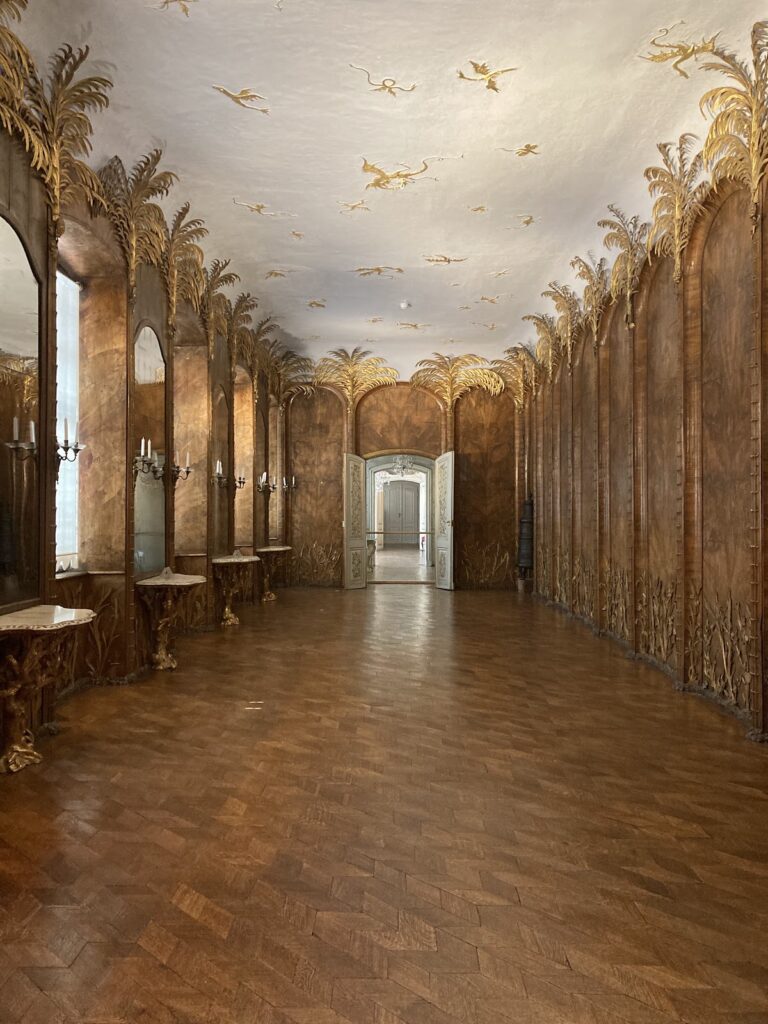 Neues Schloss Bayreuth: The Rococo Residence of the Margraves 5 Neues Schloss Bayreuth