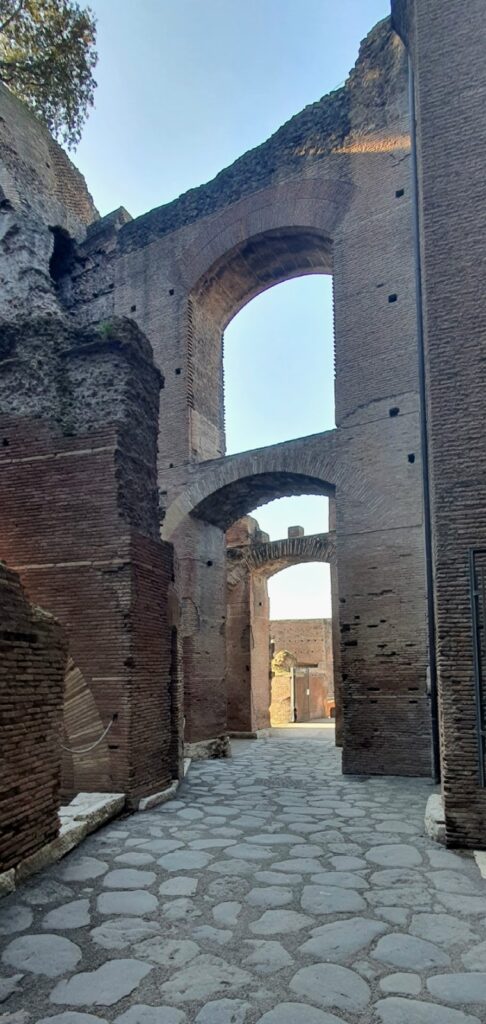 Domus Tiberiana: An Imperial Roman Palace on Rome’s Palatine Hill 4 Domus Tiberiana