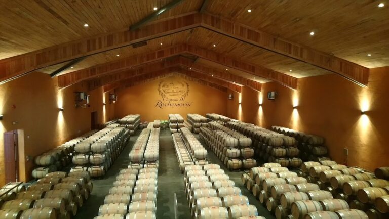 Château de Rochemorin: A Historic Wine Estate in Martillac, France