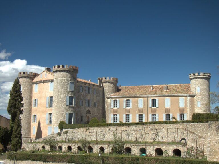 Saint-Martin-de-Pallières Castle: A Medieval Fortress and Provençal Residence