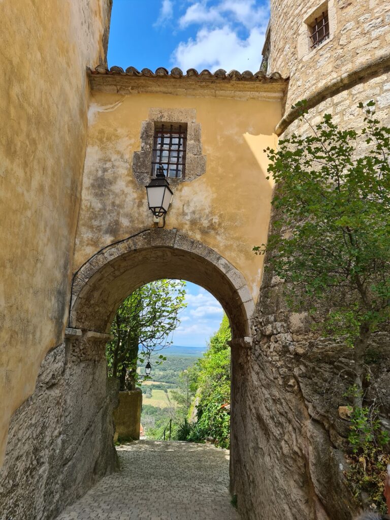 Saint-Martin-de-Pallières Castle: A Medieval Fortress and Provençal Residence 4 Château de Saint-Martin-de-Pallières