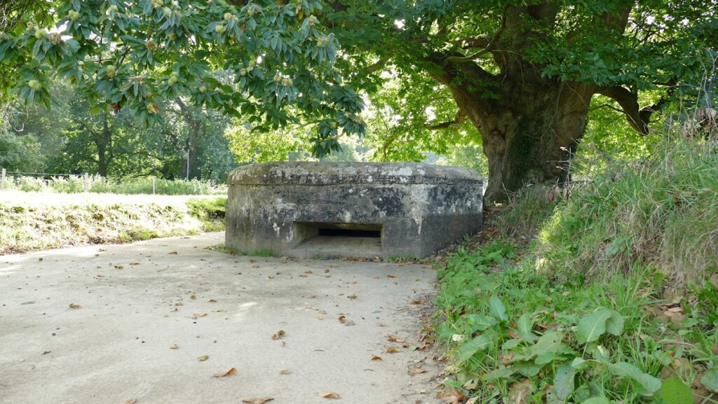 Château de Bosmelet