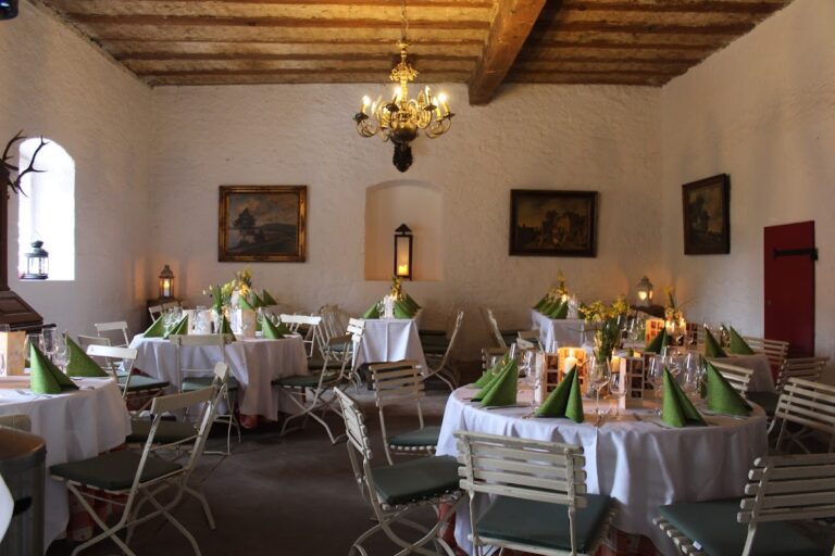 Schloss Deidesheim: A Medieval Castle and Administrative Complex in Germany
