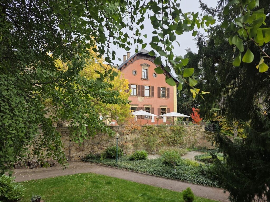 Schloss Deidesheim: A Medieval Castle and Administrative Complex in Germany 3 Schloss Deidesheim