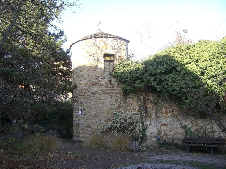 Schloss Deidesheim: A Medieval Castle and Administrative Complex in Germany