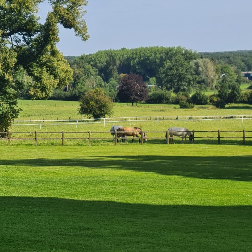 Château de Trélon: A Merode Family Residence in France 4 Château de Trélon