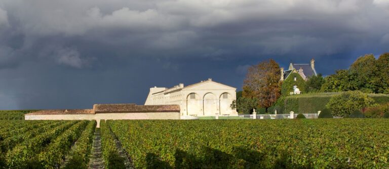 Château Mouton Rothschild: A Premier Cru Wine Estate in Pauillac
