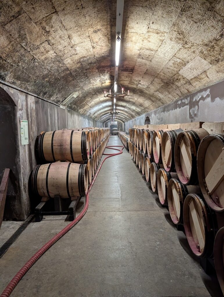 Château Mouton Rothschild: A Premier Cru Wine Estate in Pauillac 5 Château Mouton Rothschild