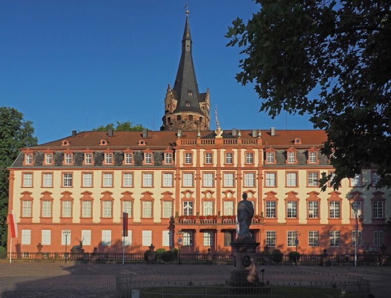 Erbach Palace: A Medieval Castle and Comital Residence in Germany