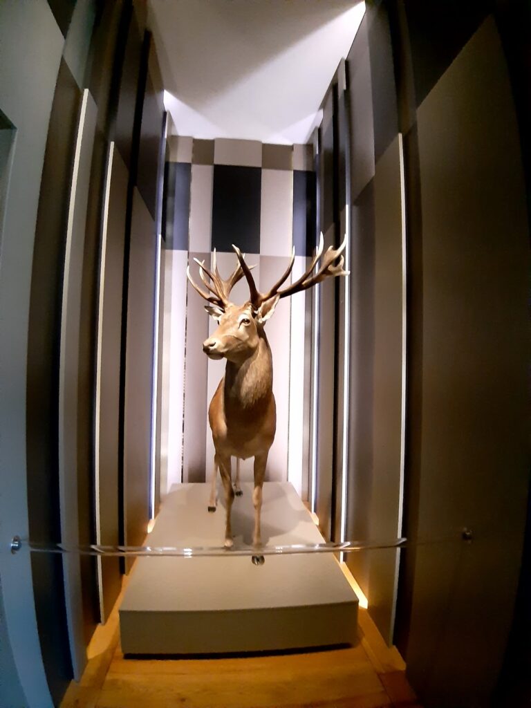 Granitz Hunting Lodge: A Nineteenth-Century Hunting Residence in Germany 5 Granitz Hunting Lodge