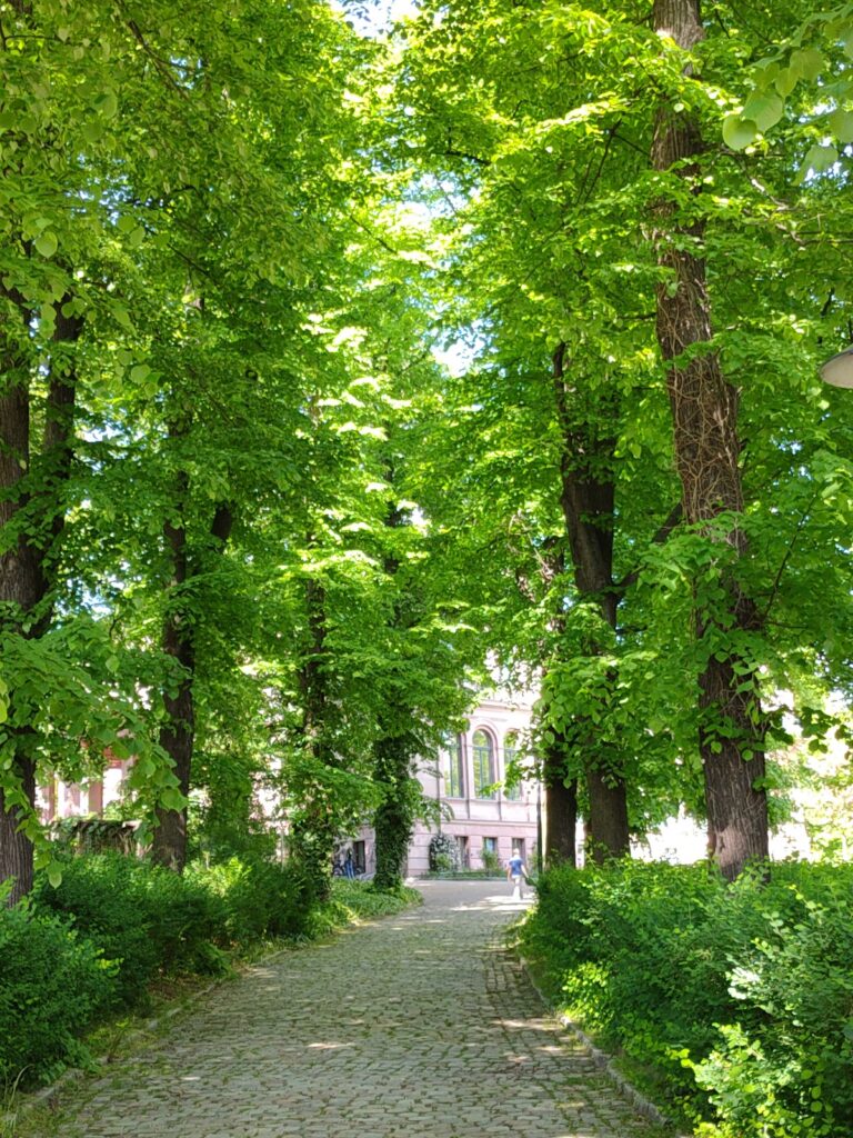 Biesdorf Palace: A Late-Neoclassical Estate and Cultural Center in Berlin 5 Biesdorf Palace