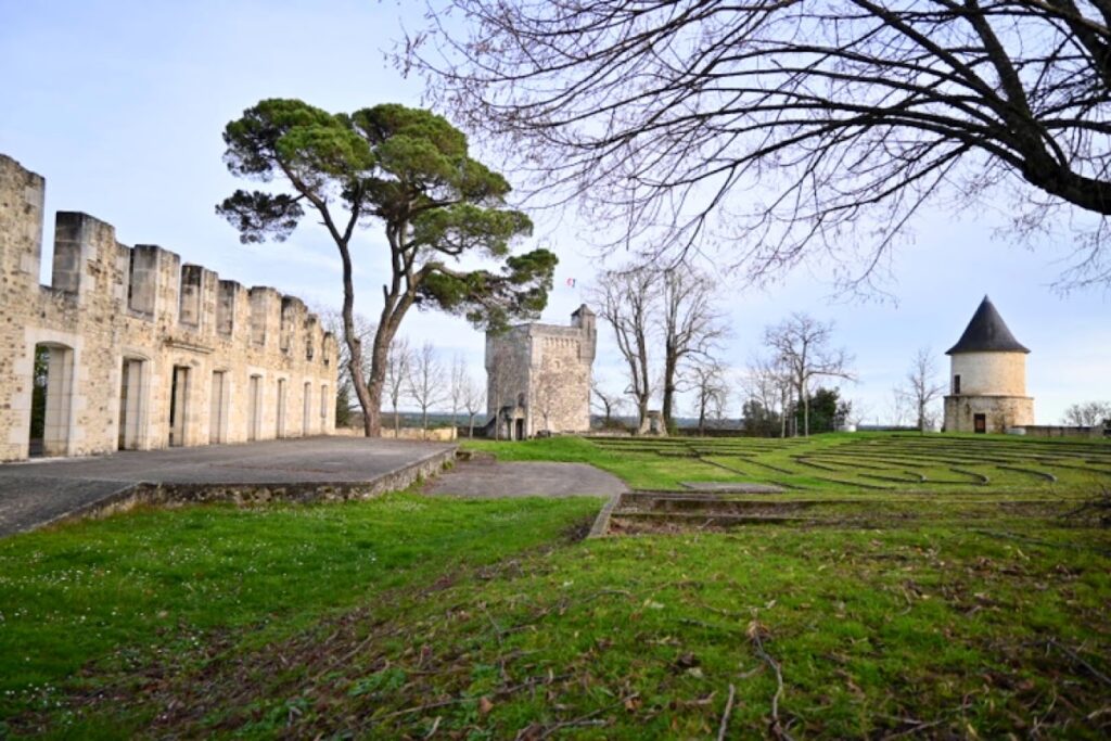 Château de Montendre: A Medieval Fortress in France 4 Château de Montendre