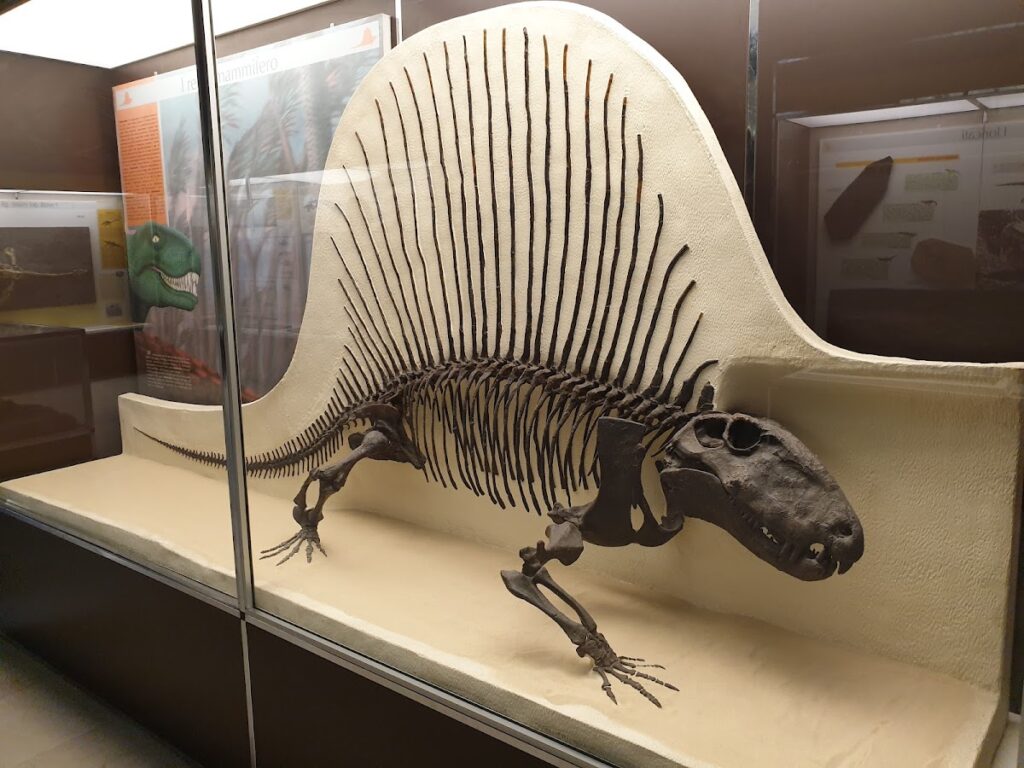 Museo Civico di Storia Naturale di Milano: Milan’s Natural-History Museum 1 Museo Civico di Storia Naturale di Milano
