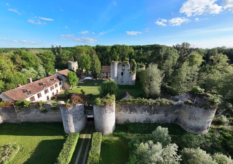 Château de Mez-le-Maréchal: a Medieval Fortified Castle in France
