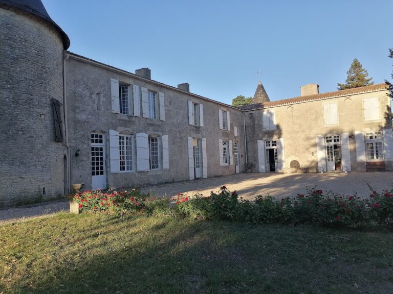 Castle of Olbreuse: A Medieval Castle and Desmier Family Estate