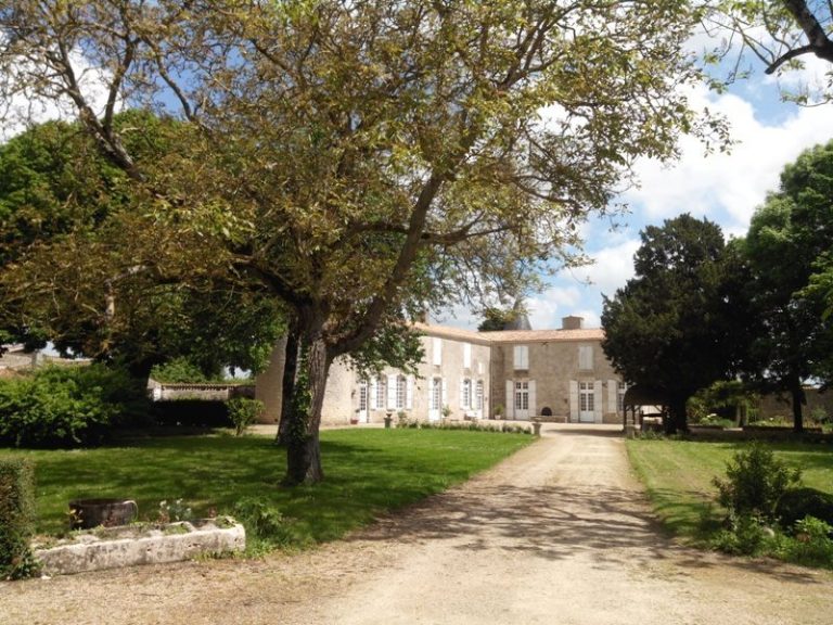 Castle of Olbreuse: A Medieval Castle and Desmier Family Estate