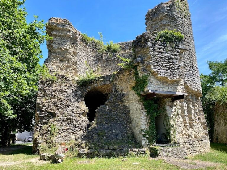 Château des Montils: A Medieval Fortified Castle in France