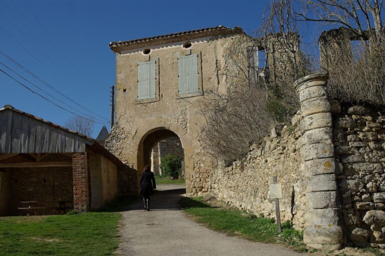 Château de Montgey: A Medieval Castle and Fortified Residence in Montgey, France