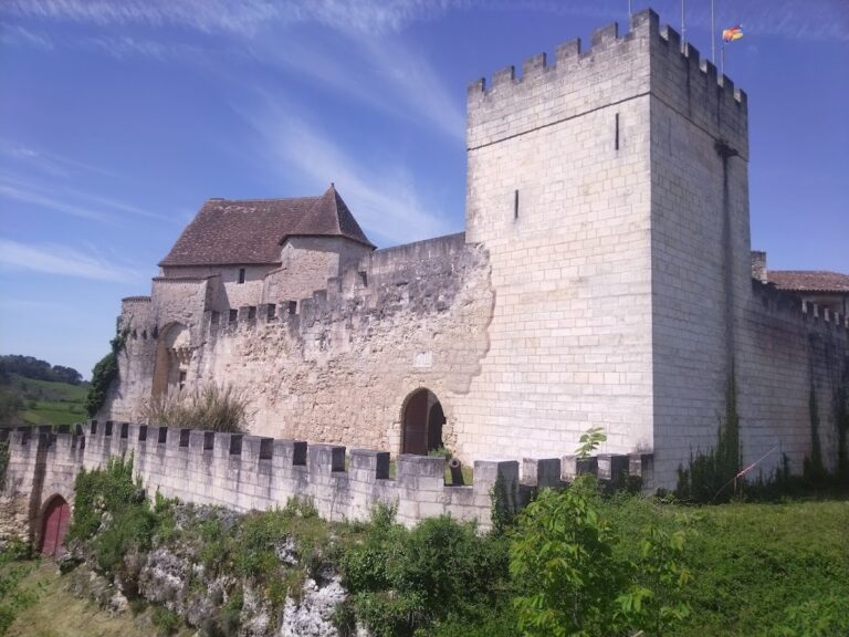 Château de Grignols: Medieval castle and former castellany in Grignols, France